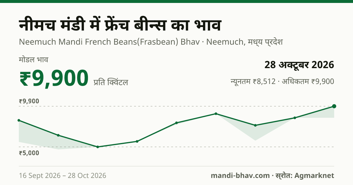 नीमच मंडी में फ्रेंच बीन्स का भाव 28 अक्टूबर 2026: मोडल ₹9,900 प्रति क्विंटल, भाव के रुझान का चार्ट