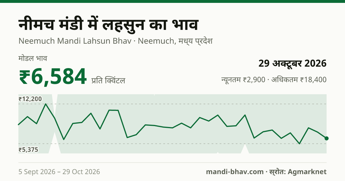 नीमच मंडी में लहसुन का भाव 29 अक्टूबर 2026: मोडल ₹6,584 प्रति क्विंटल, भाव के रुझान का चार्ट