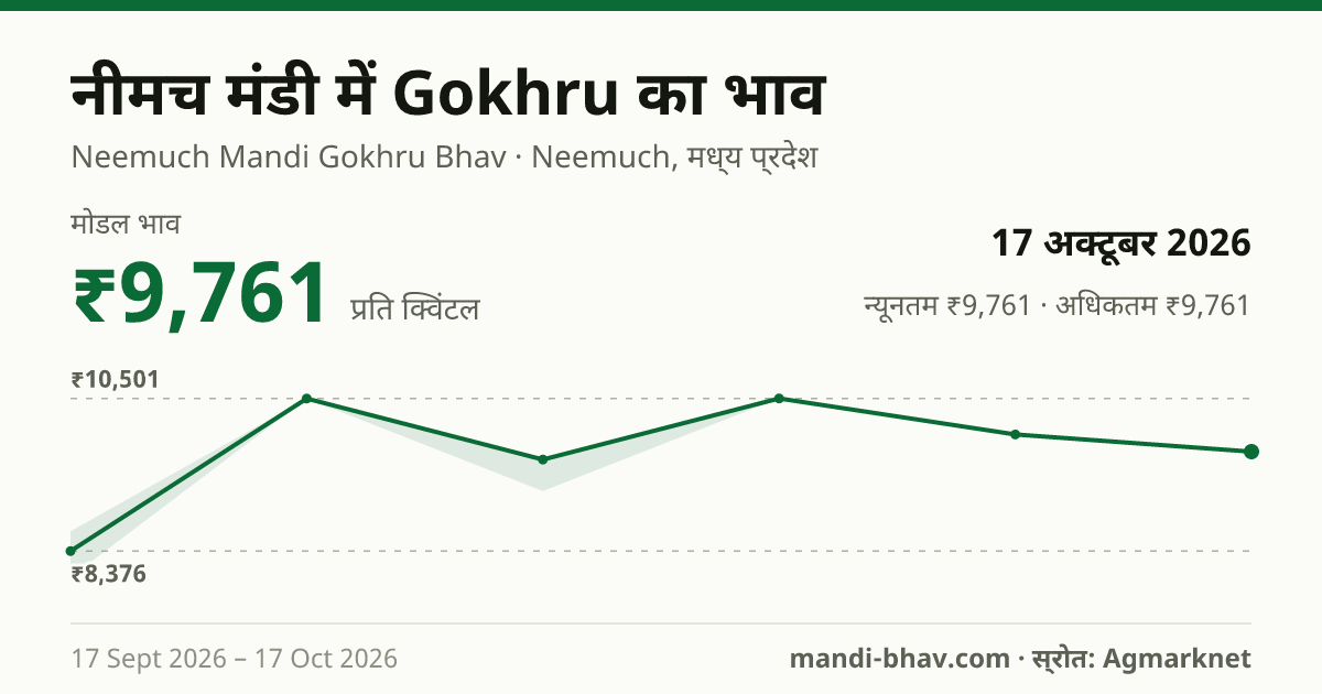 नीमच मंडी में Gokhru का भाव 17 अक्टूबर 2026: मोडल ₹9,761 प्रति क्विंटल, भाव के रुझान का चार्ट