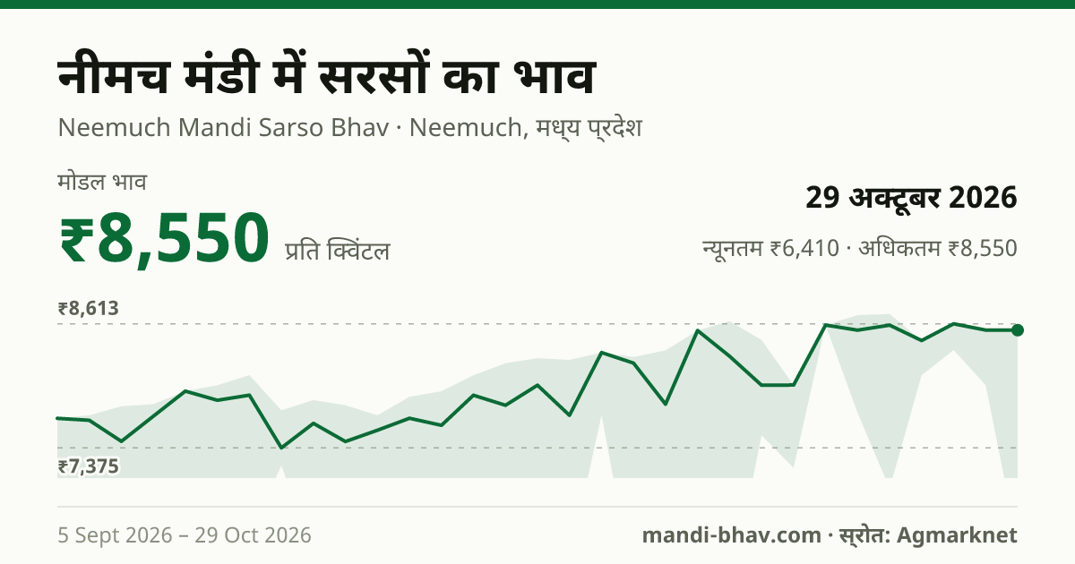 नीमच मंडी में सरसों का भाव 29 अक्टूबर 2026: मोडल ₹8,550 प्रति क्विंटल, भाव के रुझान का चार्ट