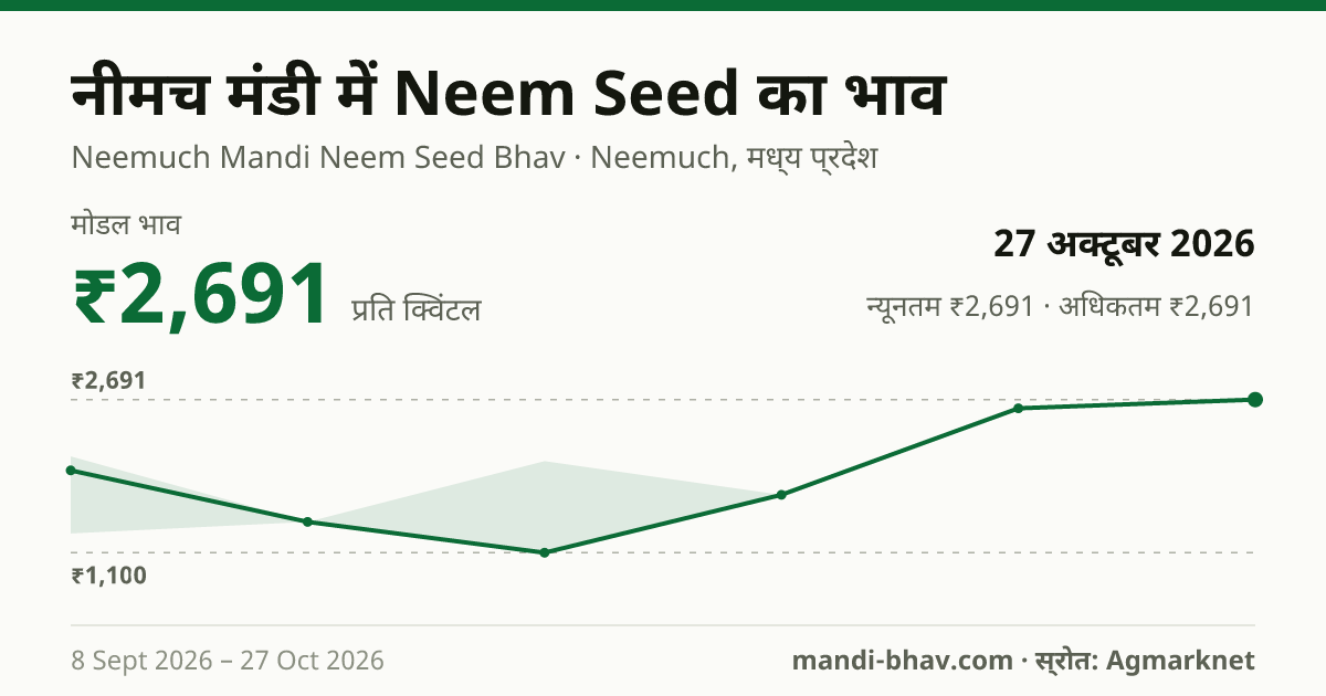नीमच मंडी में Neem Seed का भाव 27 अक्टूबर 2026: मोडल ₹2,691 प्रति क्विंटल, भाव के रुझान का चार्ट