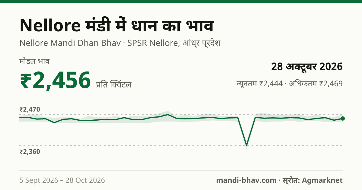 Nellore मंडी में धान का भाव 28 अक्टूबर 2026: मोडल ₹2,456 प्रति क्विंटल, भाव के रुझान का चार्ट