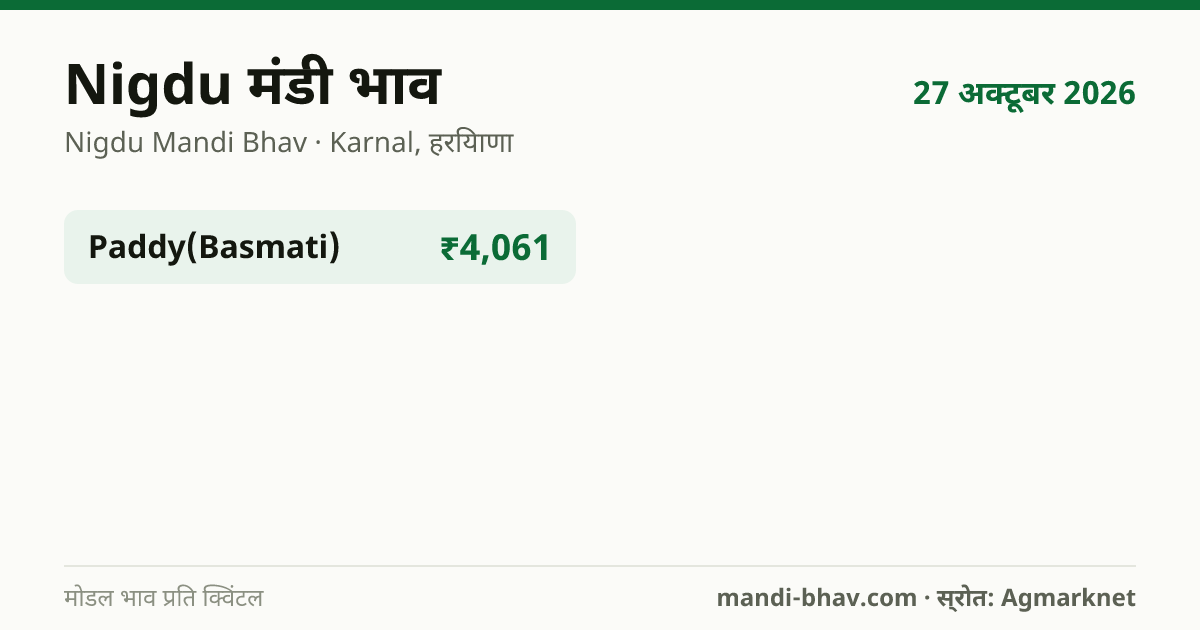 Nigdu मंडी भाव 27 अक्टूबर 2026: फसलवार मोडल रेट प्रति क्विंटल