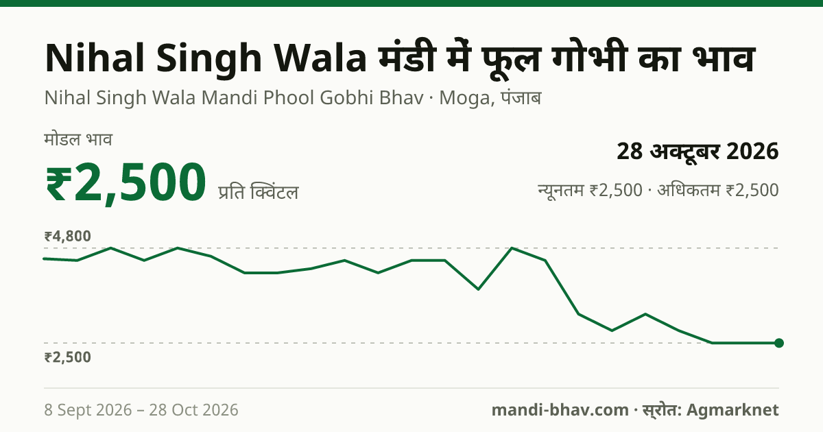 Nihal Singh Wala मंडी में फूल गोभी का भाव 28 अक्टूबर 2026: मोडल ₹2,500 प्रति क्विंटल, भाव के रुझान का चार्ट