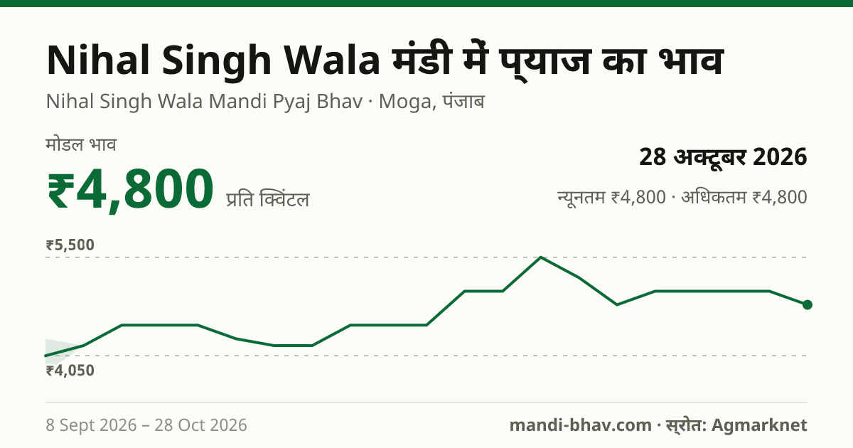 Nihal Singh Wala मंडी में प्याज का भाव 28 अक्टूबर 2026: मोडल ₹4,800 प्रति क्विंटल, भाव के रुझान का चार्ट