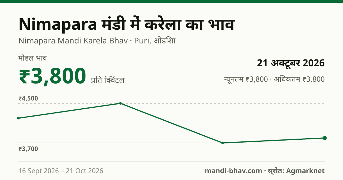 Nimapara मंडी में करेला का भाव 21 अक्टूबर 2026: मोडल ₹3,800 प्रति क्विंटल, भाव के रुझान का चार्ट