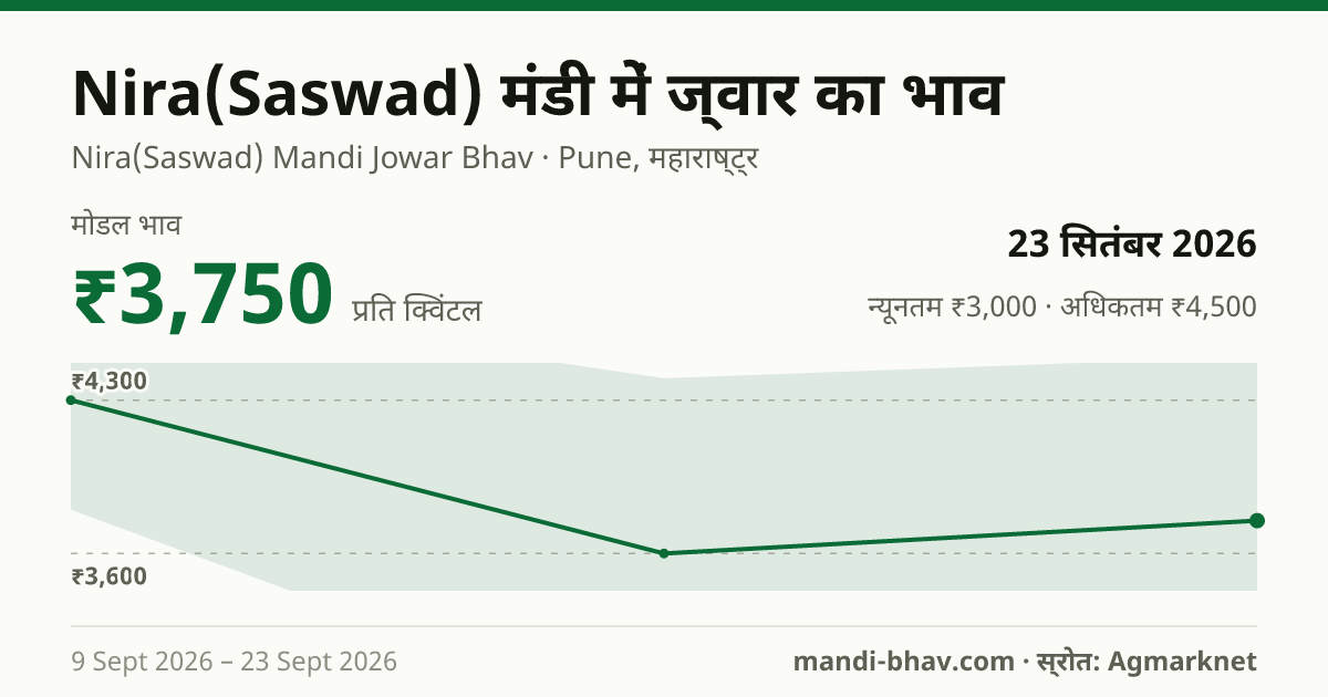 Nira(Saswad) मंडी में ज्वार का भाव 23 सितंबर 2026: मोडल ₹3,750 प्रति क्विंटल, भाव के रुझान का चार्ट