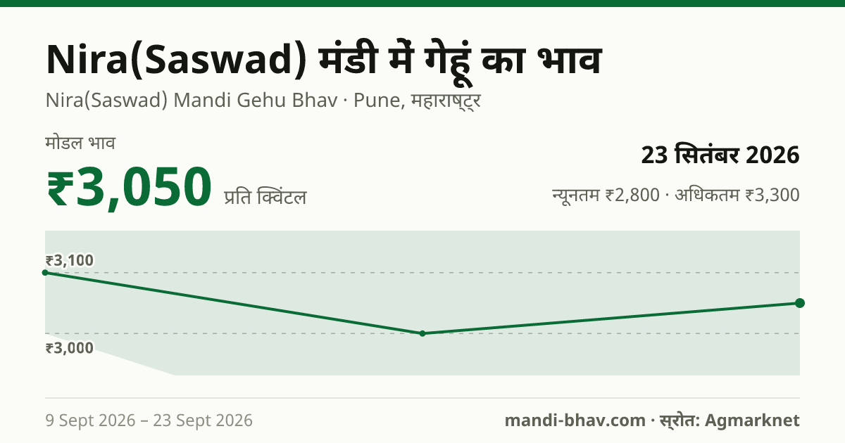Nira(Saswad) मंडी में गेहूं का भाव 23 सितंबर 2026: मोडल ₹3,050 प्रति क्विंटल, भाव के रुझान का चार्ट