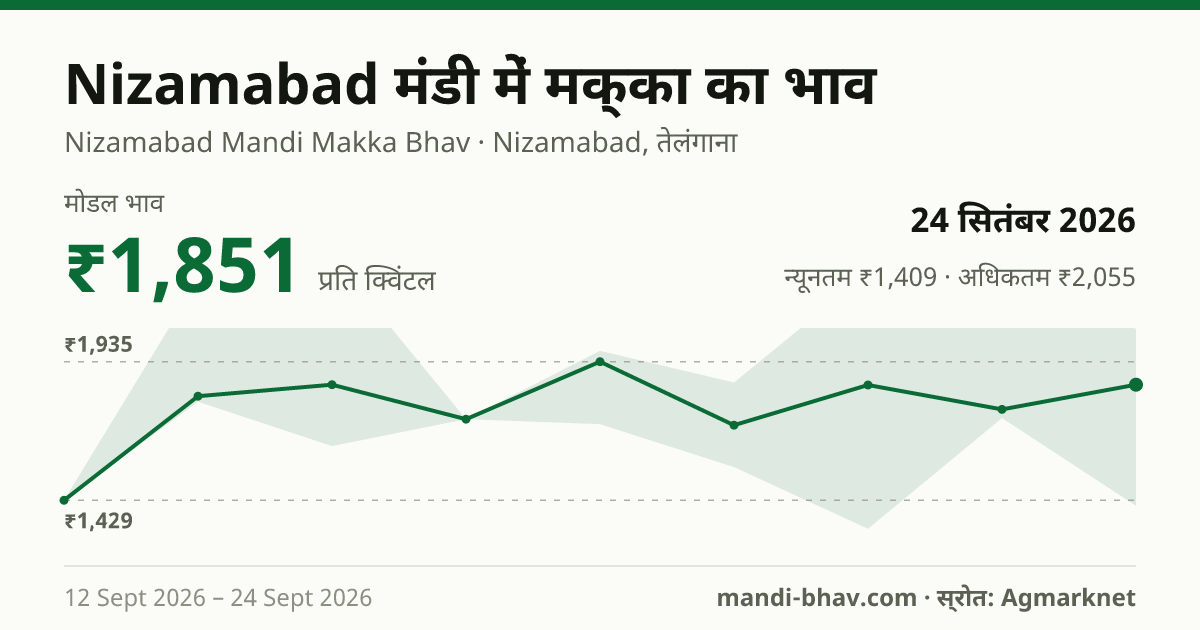 Nizamabad मंडी में मक्का का भाव 24 सितंबर 2026: मोडल ₹1,851 प्रति क्विंटल, भाव के रुझान का चार्ट