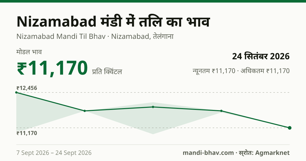 Nizamabad मंडी में तिल का भाव 24 सितंबर 2026: मोडल ₹11,170 प्रति क्विंटल, भाव के रुझान का चार्ट