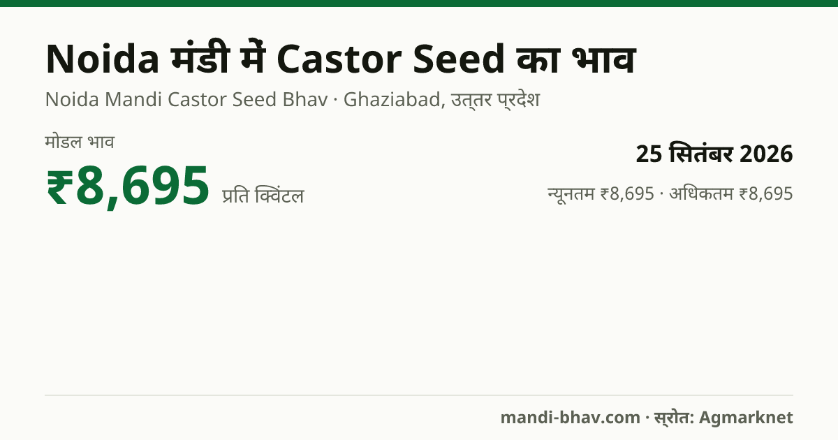 Noida मंडी में Castor Seed का भाव 25 सितंबर 2026: मोडल ₹8,695 प्रति क्विंटल, भाव के रुझान का चार्ट