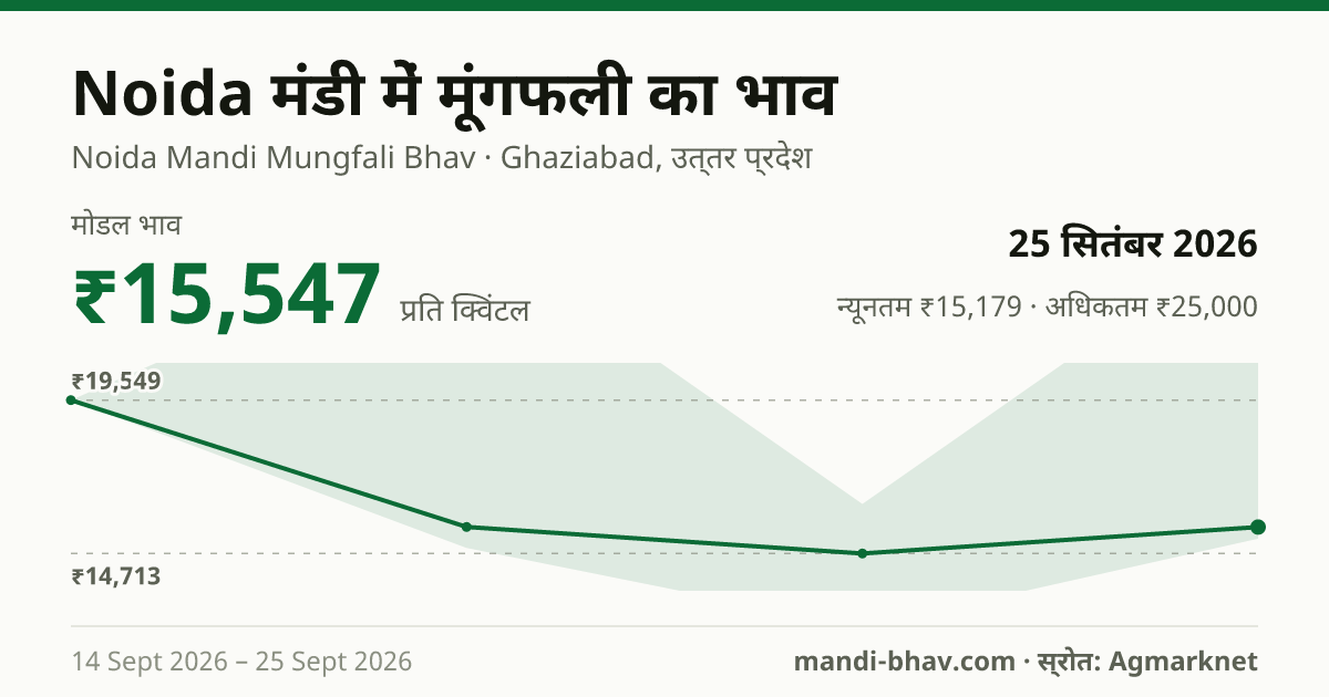 Noida मंडी में मूंगफली का भाव 25 सितंबर 2026: मोडल ₹15,547 प्रति क्विंटल, भाव के रुझान का चार्ट
