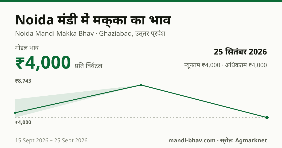 Noida मंडी में मक्का का भाव 25 सितंबर 2026: मोडल ₹4,000 प्रति क्विंटल, भाव के रुझान का चार्ट