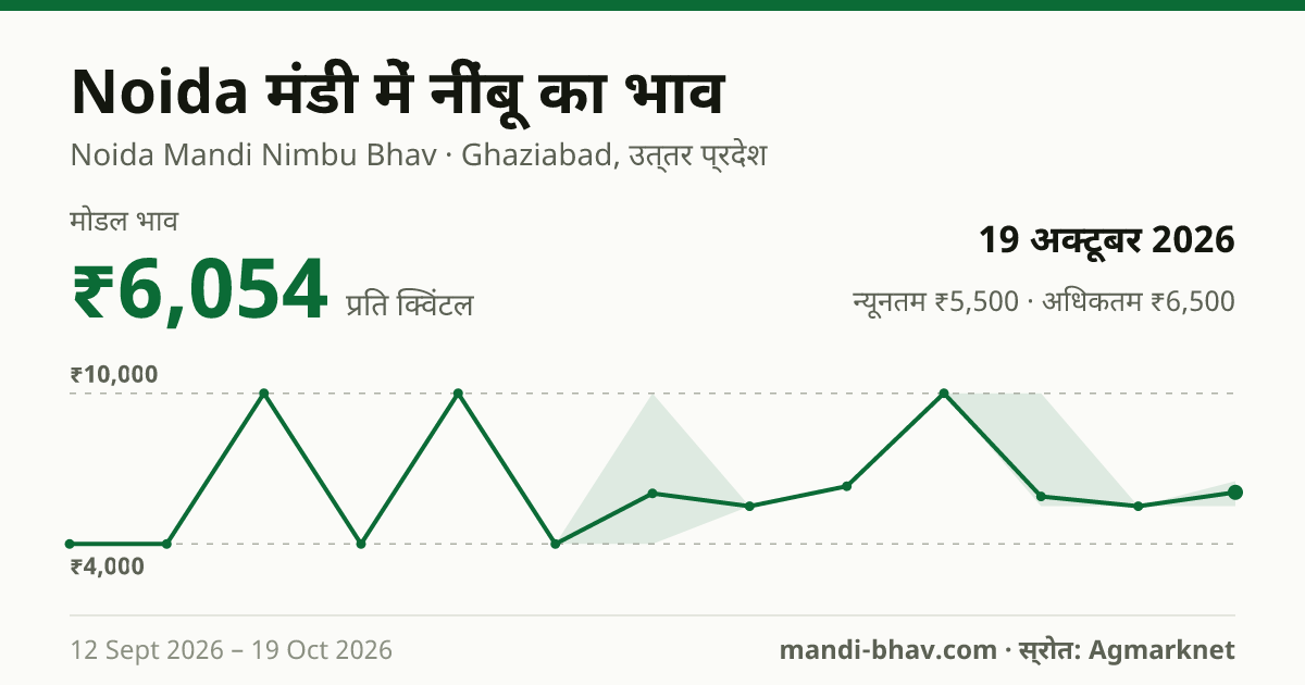 Noida मंडी में नींबू का भाव 19 अक्टूबर 2026: मोडल ₹6,054 प्रति क्विंटल, भाव के रुझान का चार्ट