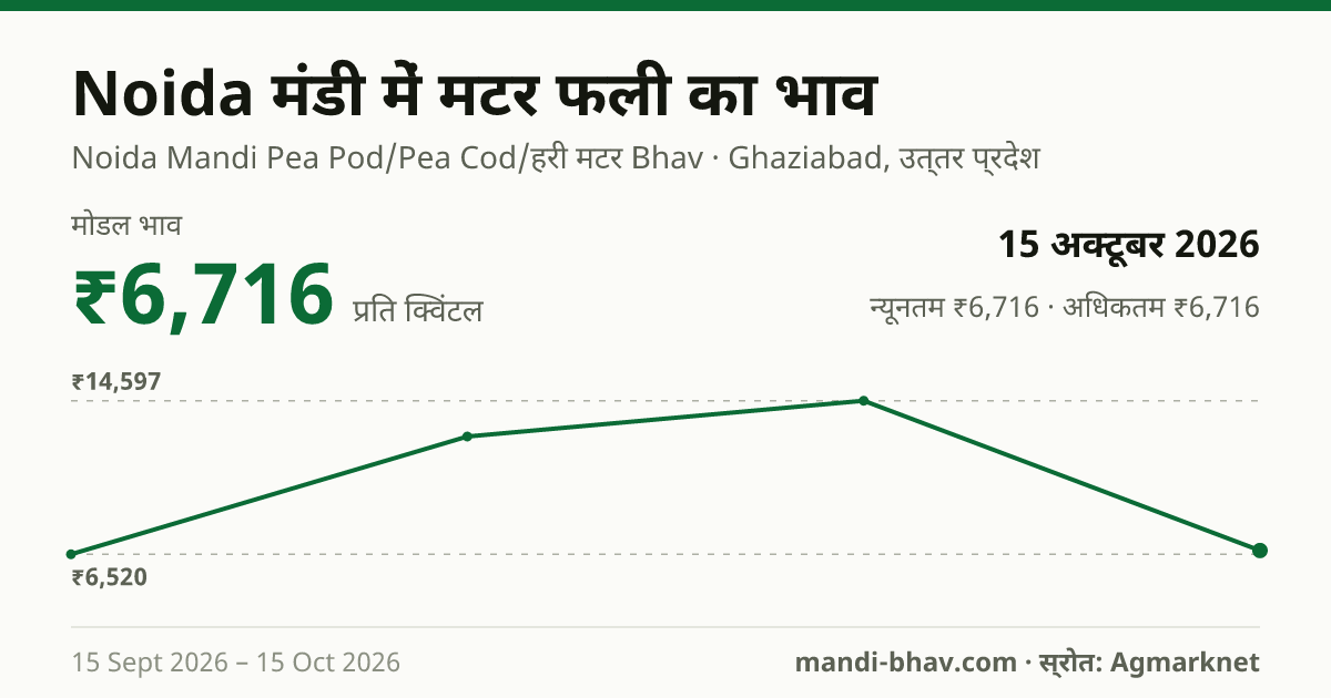Noida मंडी में मटर फली का भाव 15 अक्टूबर 2026: मोडल ₹6,716 प्रति क्विंटल, भाव के रुझान का चार्ट