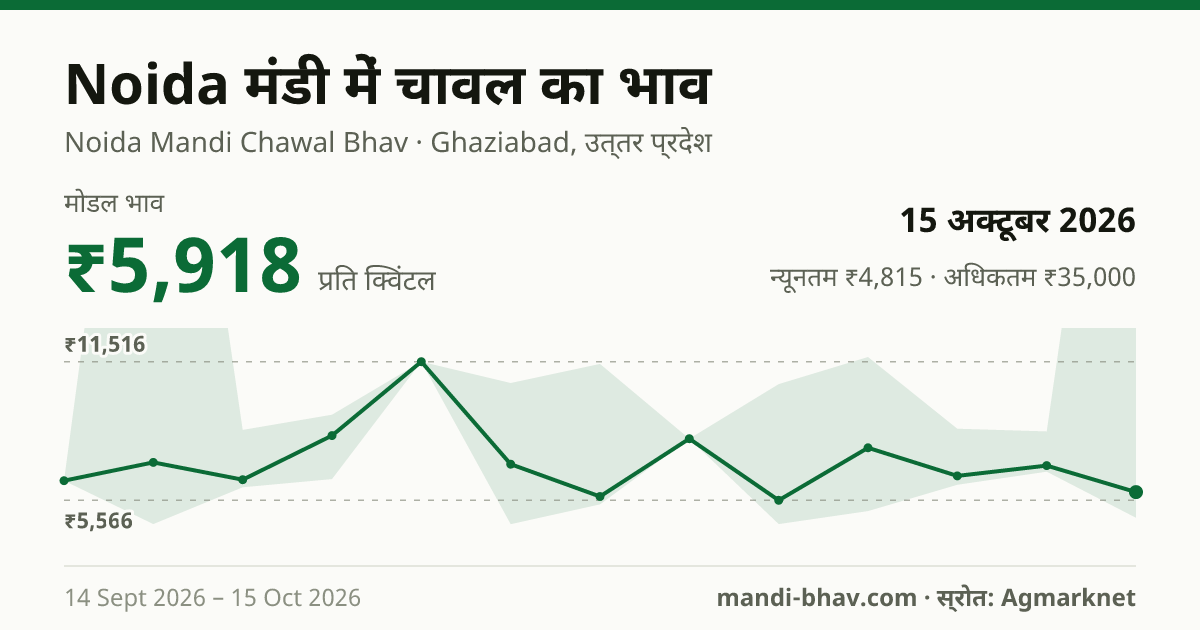 Noida मंडी में चावल का भाव 15 अक्टूबर 2026: मोडल ₹5,918 प्रति क्विंटल, भाव के रुझान का चार्ट