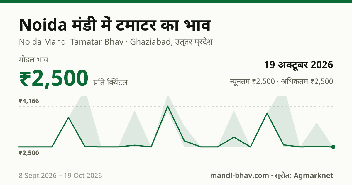 Noida मंडी में टमाटर का भाव 19 अक्टूबर 2026: मोडल ₹2,500 प्रति क्विंटल, भाव के रुझान का चार्ट