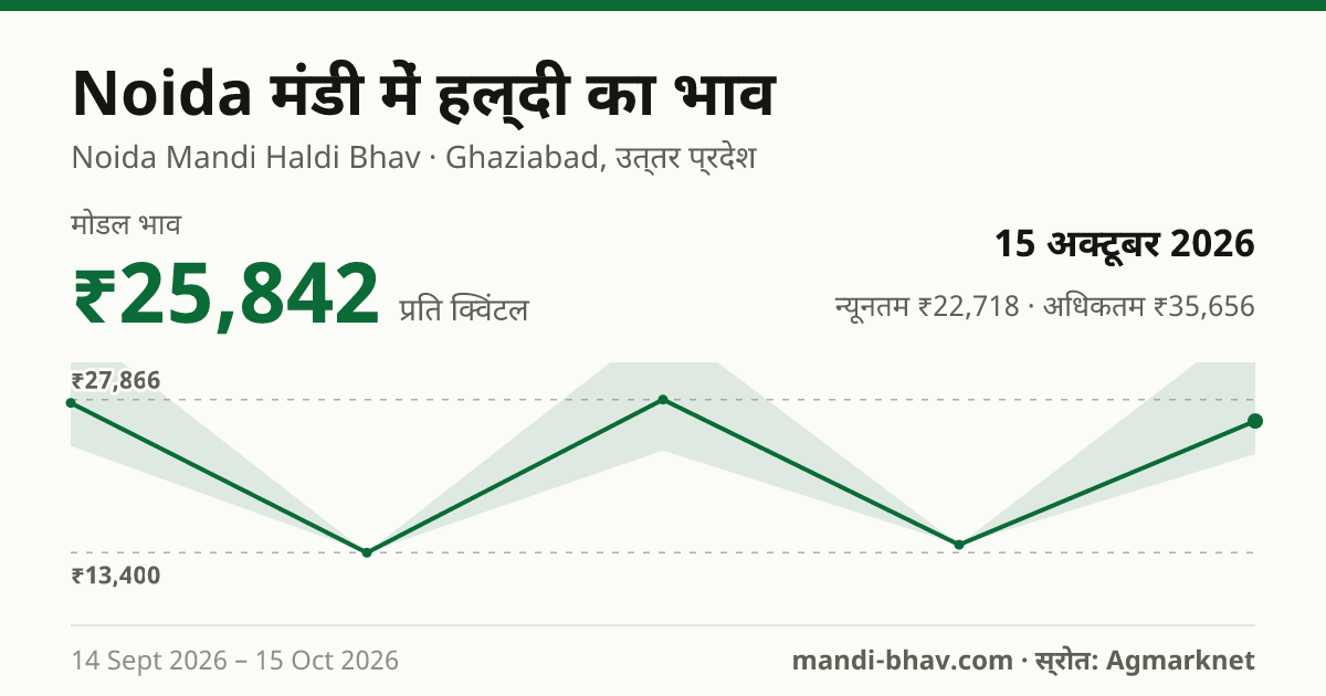 Noida मंडी में हल्दी का भाव 15 अक्टूबर 2026: मोडल ₹25,842 प्रति क्विंटल, भाव के रुझान का चार्ट
