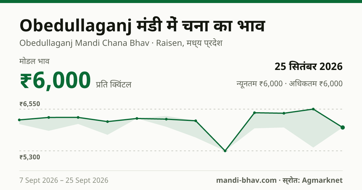 Obedullaganj मंडी में चना का भाव 25 सितंबर 2026: मोडल ₹6,000 प्रति क्विंटल, भाव के रुझान का चार्ट