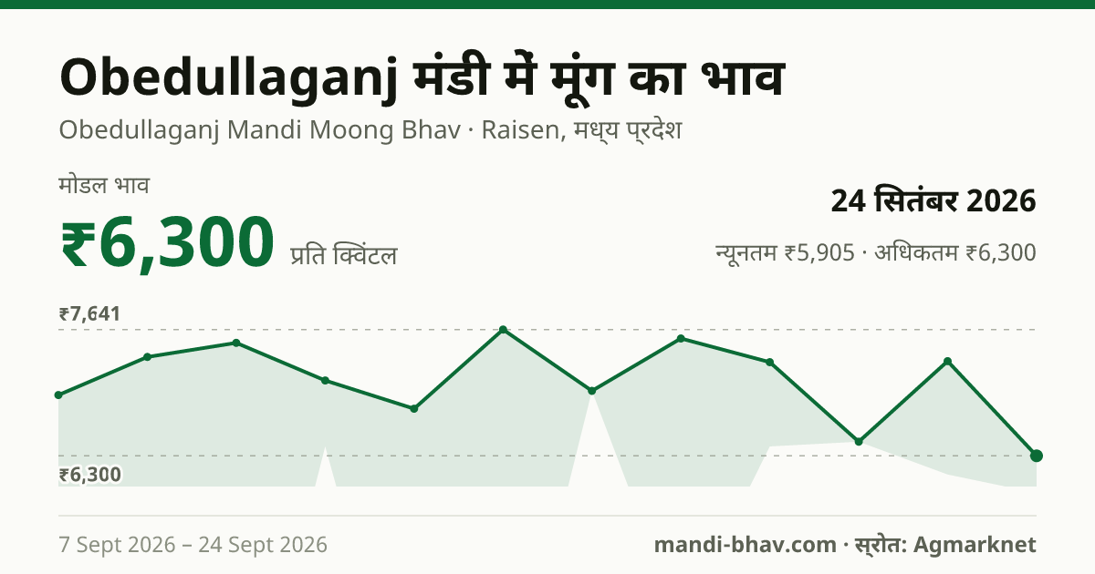 Obedullaganj मंडी में मूंग का भाव 24 सितंबर 2026: मोडल ₹6,300 प्रति क्विंटल, भाव के रुझान का चार्ट