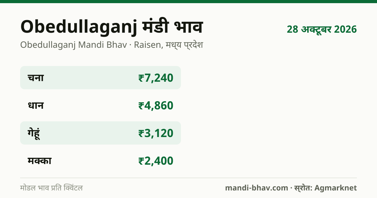 Obedullaganj मंडी भाव 28 अक्टूबर 2026: फसलवार मोडल रेट प्रति क्विंटल