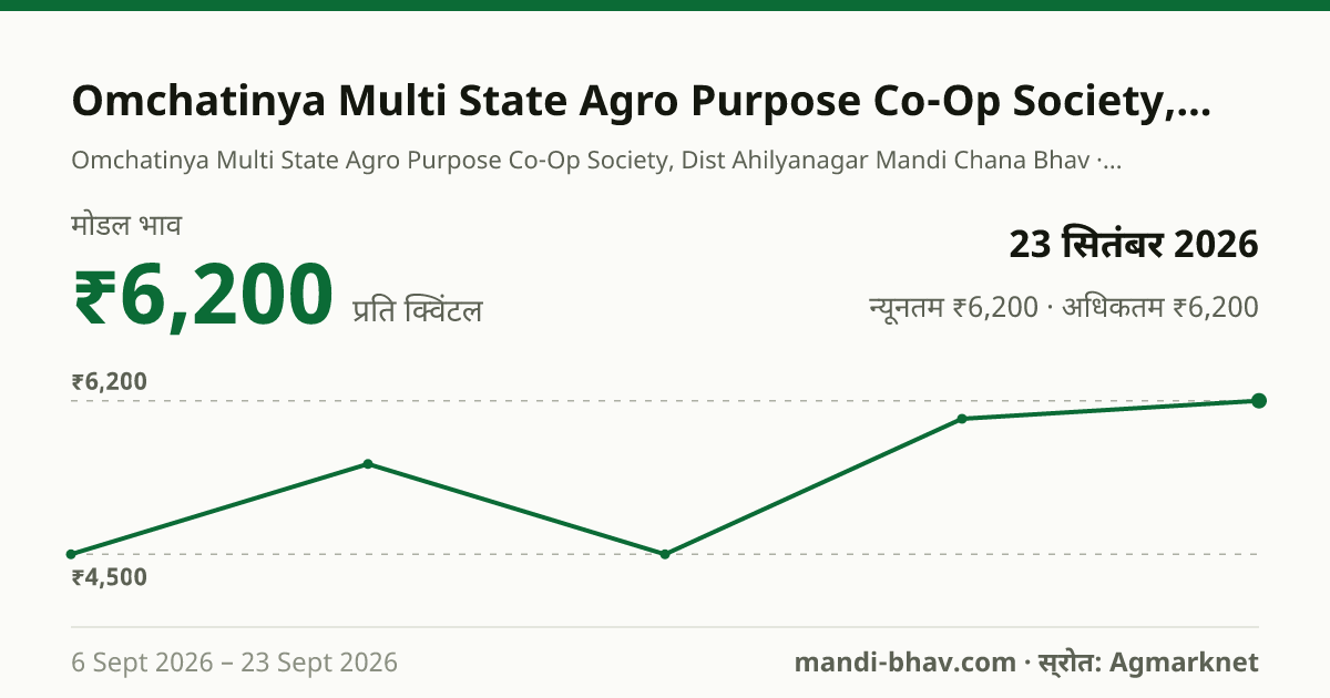 Omchatinya Multi State Agro Purpose Co-Op Society, Dist Ahilyanagar मंडी में चना का भाव 23 सितंबर 2026: मोडल ₹6,200 प्रति क्विंटल, भाव के रुझान का चार्ट