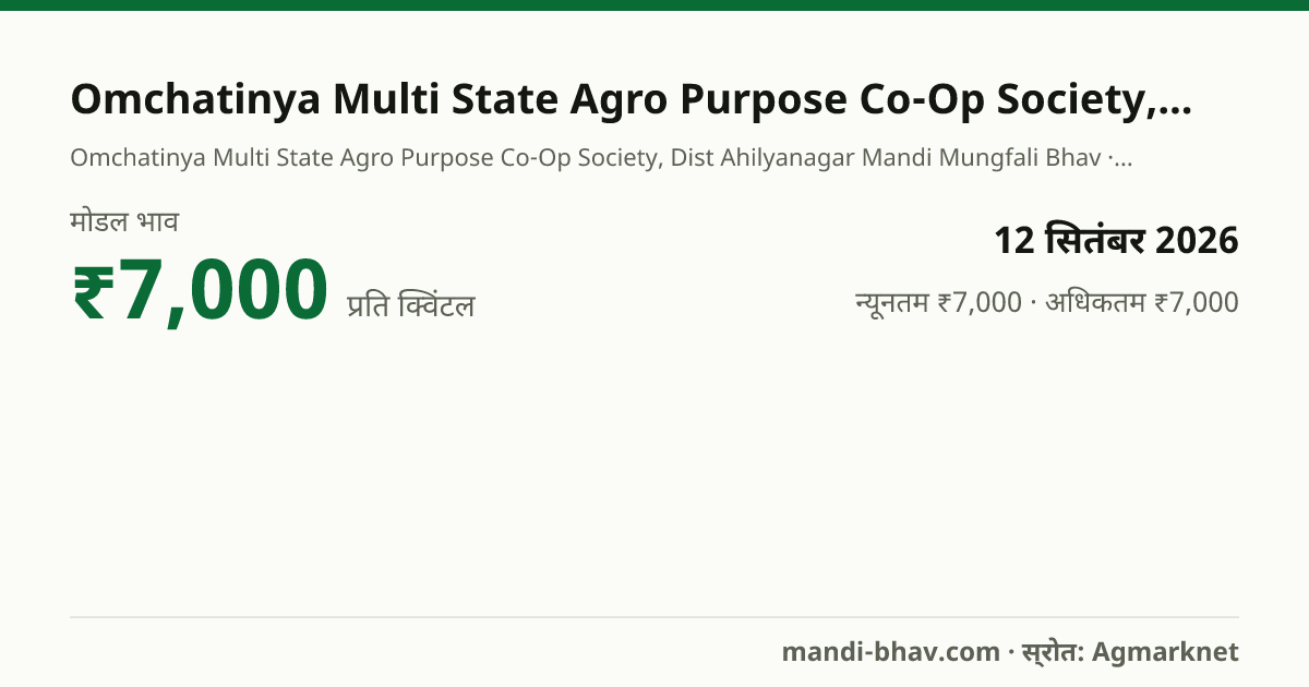 Omchatinya Multi State Agro Purpose Co-Op Society, Dist Ahilyanagar मंडी में मूंगफली का भाव 12 सितंबर 2026: मोडल ₹7,000 प्रति क्विंटल, भाव के रुझान का चार्ट