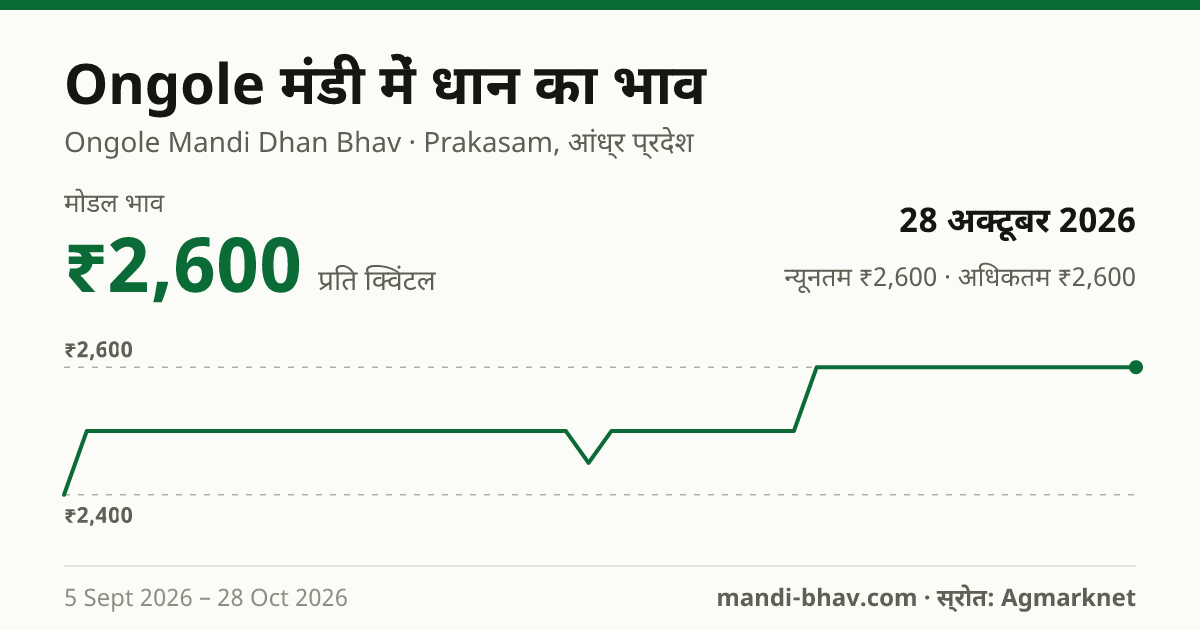 Ongole मंडी में धान का भाव 28 अक्टूबर 2026: मोडल ₹2,600 प्रति क्विंटल, भाव के रुझान का चार्ट