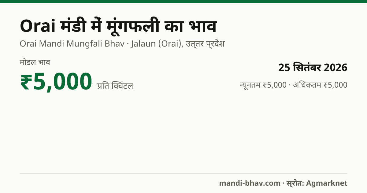 Orai मंडी में मूंगफली का भाव 25 सितंबर 2026: मोडल ₹5,000 प्रति क्विंटल, भाव के रुझान का चार्ट