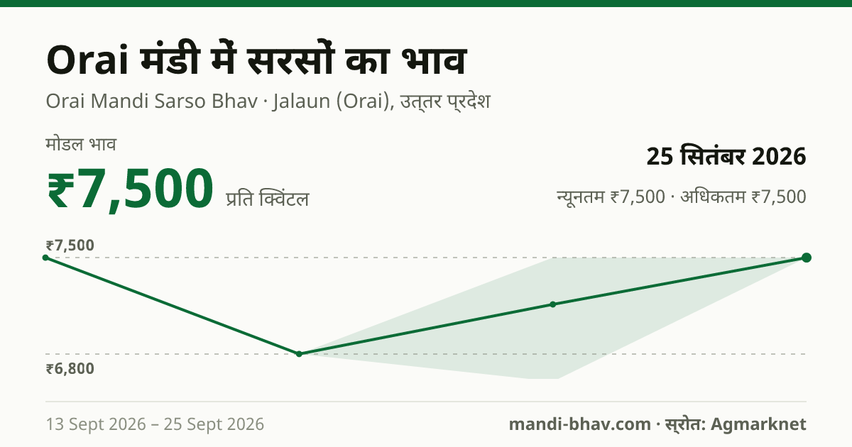 Orai मंडी में सरसों का भाव 25 सितंबर 2026: मोडल ₹7,500 प्रति क्विंटल, भाव के रुझान का चार्ट