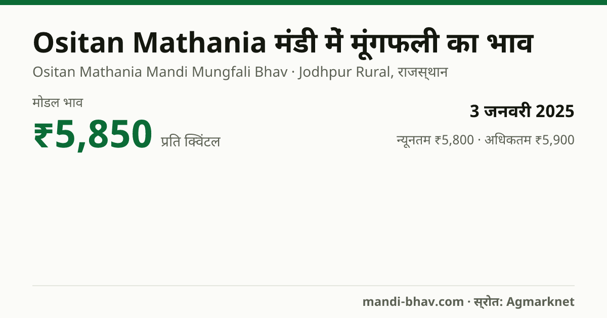 Ositan Mathania मंडी में मूंगफली का भाव 3 जनवरी 2025: मोडल ₹5,850 प्रति क्विंटल, भाव के रुझान का चार्ट