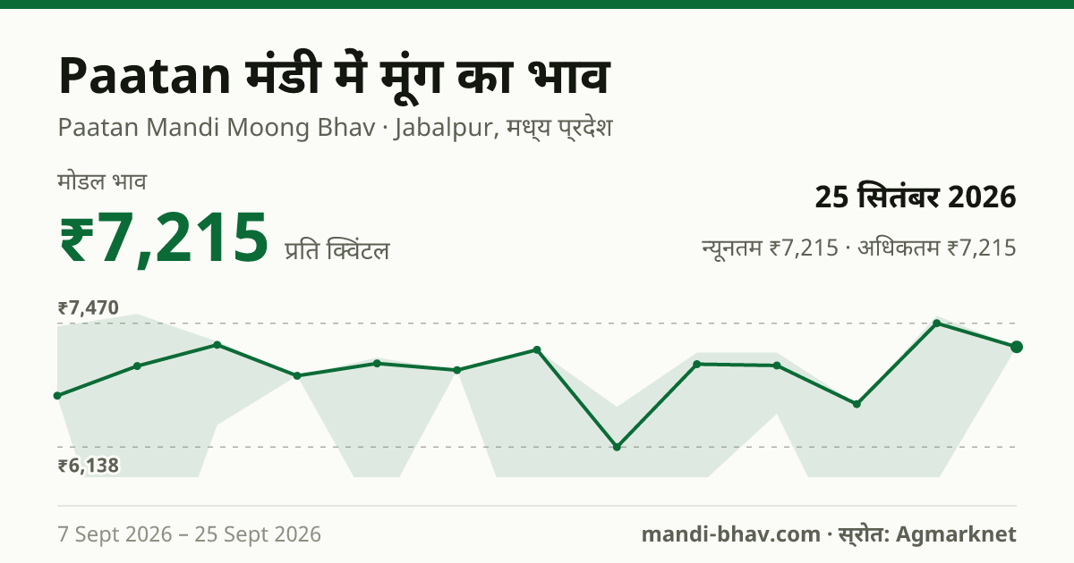 Paatan मंडी में मूंग का भाव 25 सितंबर 2026: मोडल ₹7,215 प्रति क्विंटल, भाव के रुझान का चार्ट