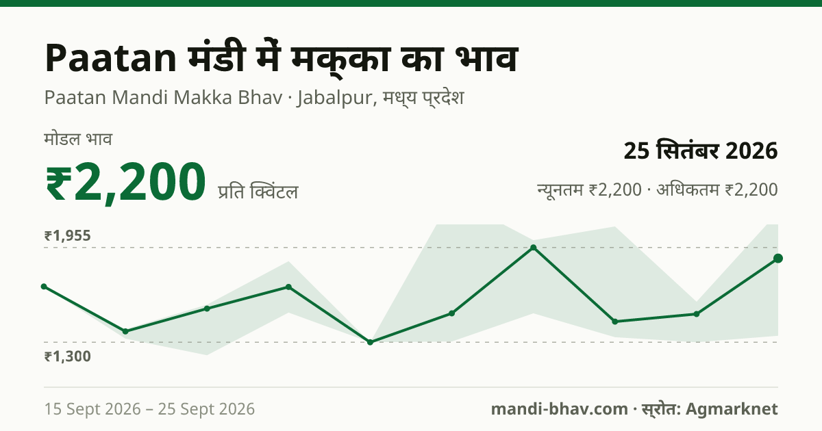 Paatan मंडी में मक्का का भाव 25 सितंबर 2026: मोडल ₹2,200 प्रति क्विंटल, भाव के रुझान का चार्ट