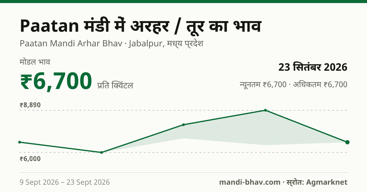 Paatan मंडी में अरहर / तूर का भाव 23 सितंबर 2026: मोडल ₹6,700 प्रति क्विंटल, भाव के रुझान का चार्ट