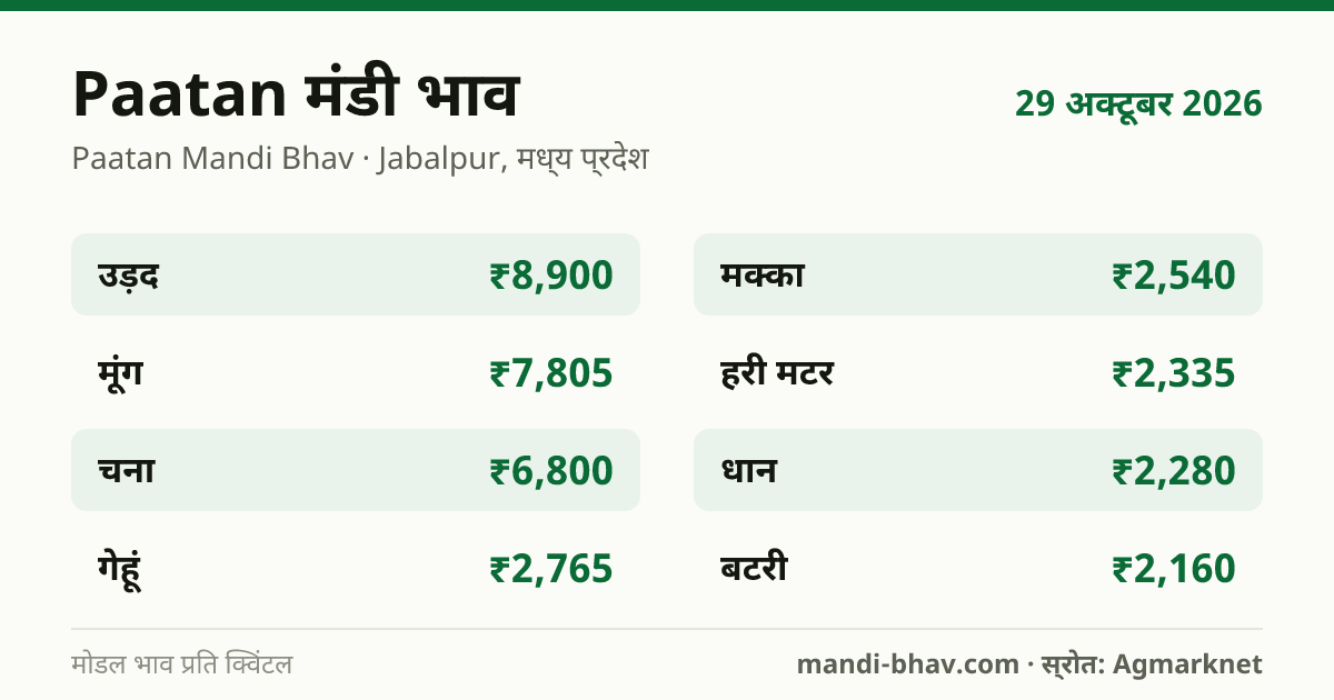 Paatan मंडी भाव 29 अक्टूबर 2026: फसलवार मोडल रेट प्रति क्विंटल