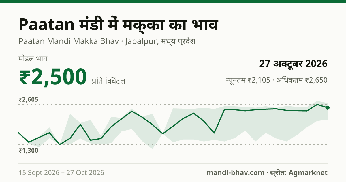 Paatan मंडी में मक्का का भाव 27 अक्टूबर 2026: मोडल ₹2,500 प्रति क्विंटल, भाव के रुझान का चार्ट