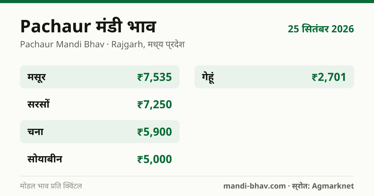 Pachaur मंडी भाव 25 सितंबर 2026: फसलवार मोडल रेट प्रति क्विंटल