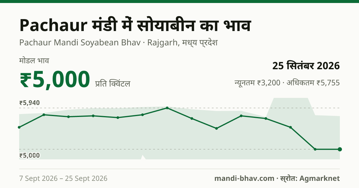 Pachaur मंडी में सोयाबीन का भाव 25 सितंबर 2026: मोडल ₹5,000 प्रति क्विंटल, भाव के रुझान का चार्ट