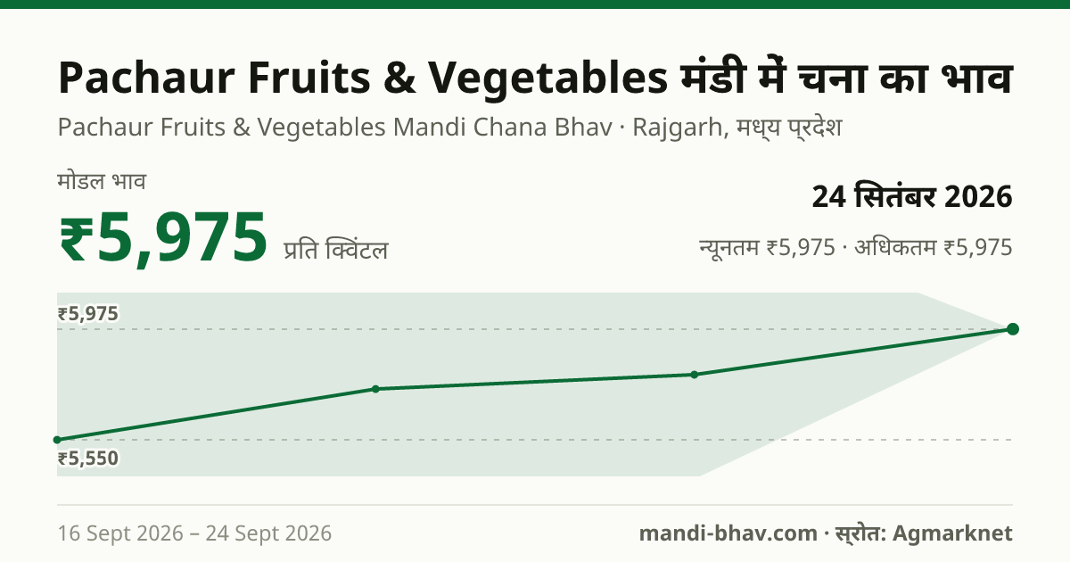 Pachaur Fruits & Vegetables मंडी में चना का भाव 24 सितंबर 2026: मोडल ₹5,975 प्रति क्विंटल, भाव के रुझान का चार्ट