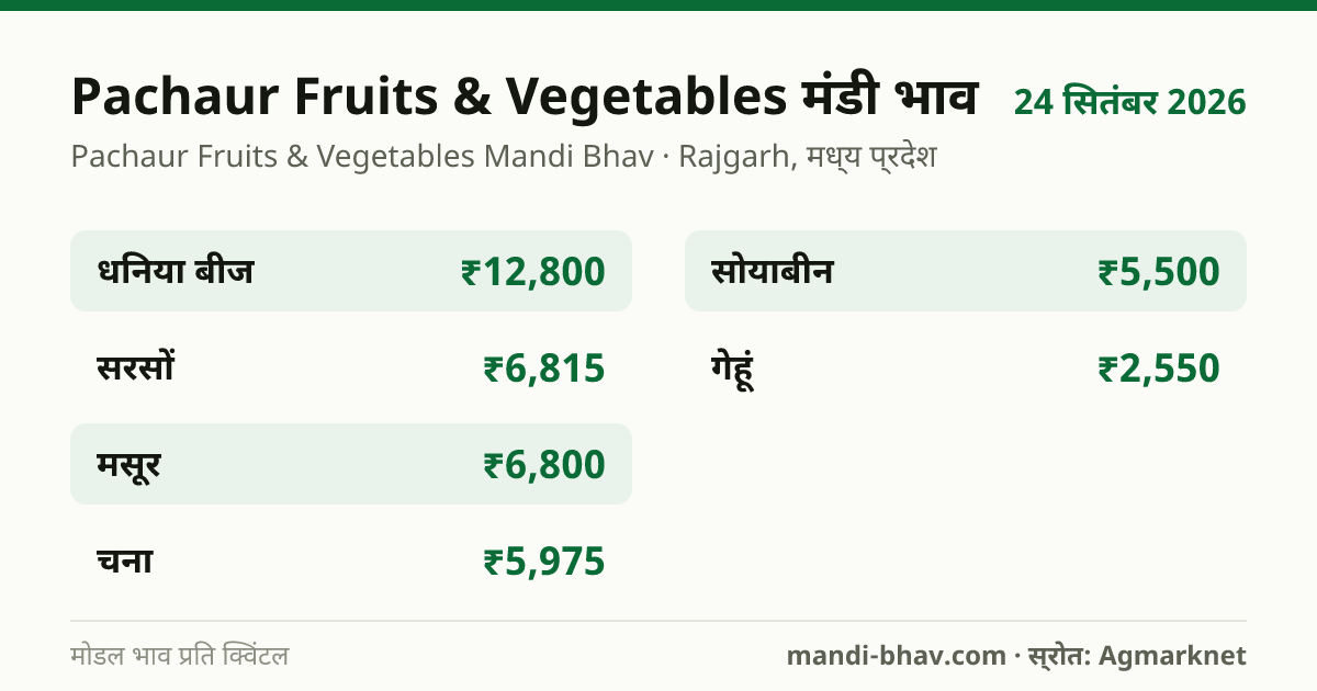 Pachaur Fruits & Vegetables मंडी भाव 24 सितंबर 2026: फसलवार मोडल रेट प्रति क्विंटल