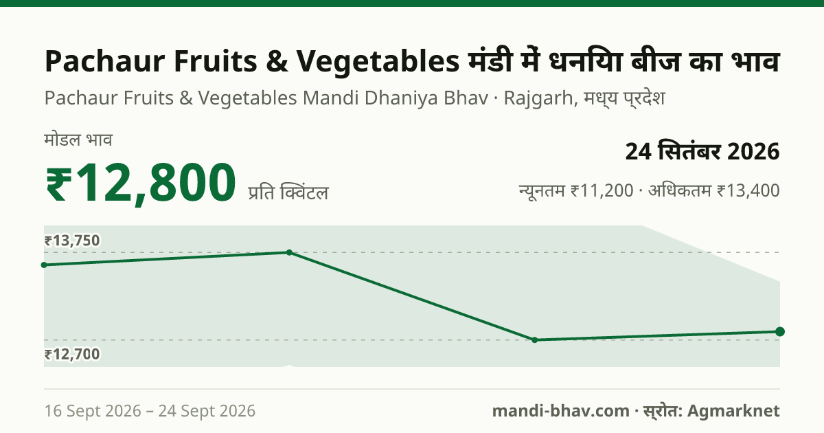 Pachaur Fruits & Vegetables मंडी में धनिया बीज का भाव 24 सितंबर 2026: मोडल ₹12,800 प्रति क्विंटल, भाव के रुझान का चार्ट
