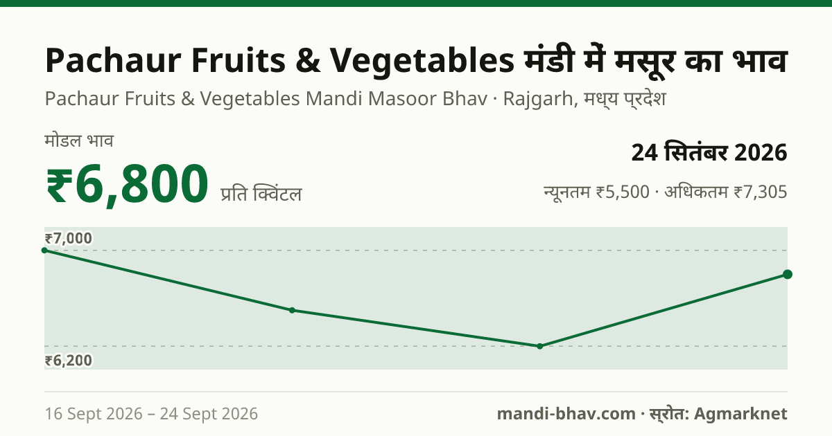 Pachaur Fruits & Vegetables मंडी में मसूर का भाव 24 सितंबर 2026: मोडल ₹6,800 प्रति क्विंटल, भाव के रुझान का चार्ट