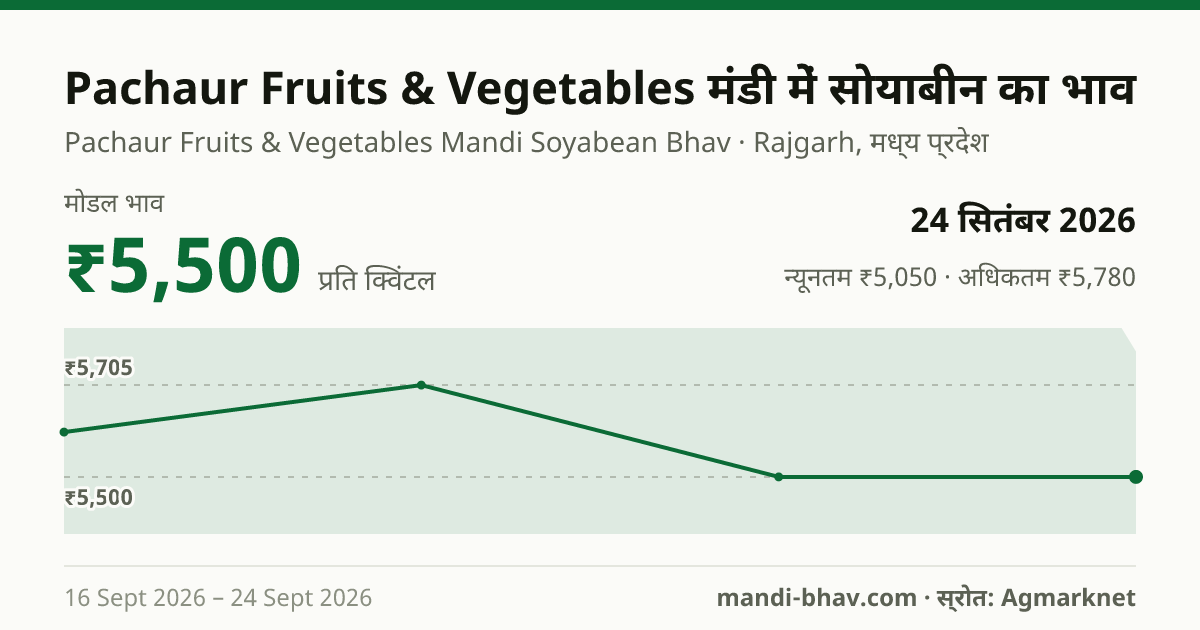 Pachaur Fruits & Vegetables मंडी में सोयाबीन का भाव 24 सितंबर 2026: मोडल ₹5,500 प्रति क्विंटल, भाव के रुझान का चार्ट