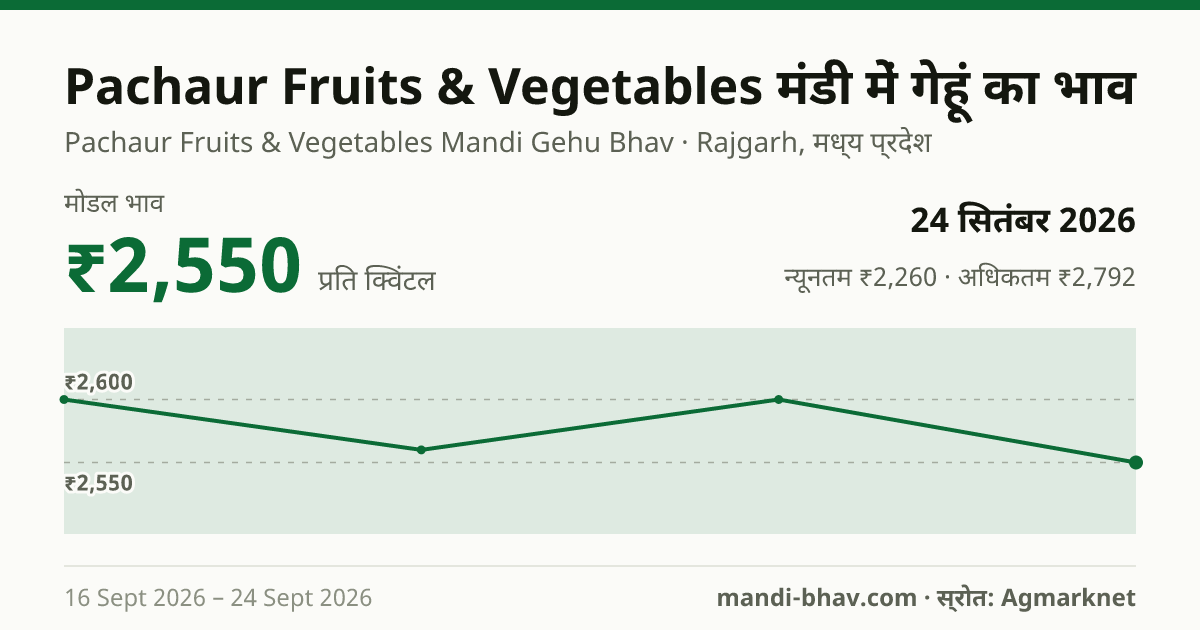 Pachaur Fruits & Vegetables मंडी में गेहूं का भाव 24 सितंबर 2026: मोडल ₹2,550 प्रति क्विंटल, भाव के रुझान का चार्ट