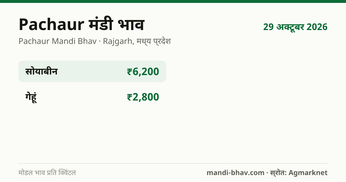 Pachaur मंडी भाव 29 अक्टूबर 2026: फसलवार मोडल रेट प्रति क्विंटल