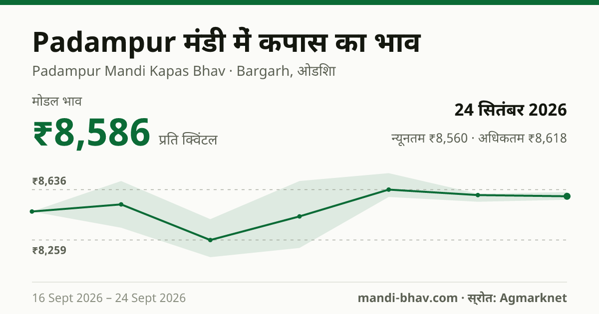 Padampur मंडी में कपास का भाव 24 सितंबर 2026: मोडल ₹8,586 प्रति क्विंटल, भाव के रुझान का चार्ट