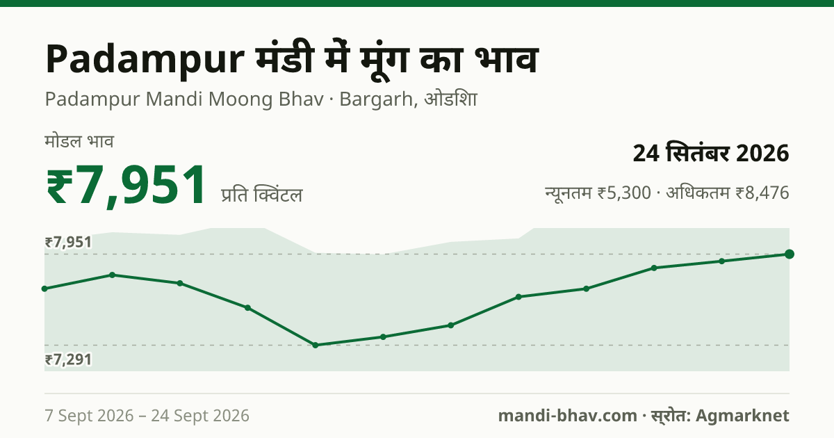 Padampur मंडी में मूंग का भाव 24 सितंबर 2026: मोडल ₹7,951 प्रति क्विंटल, भाव के रुझान का चार्ट