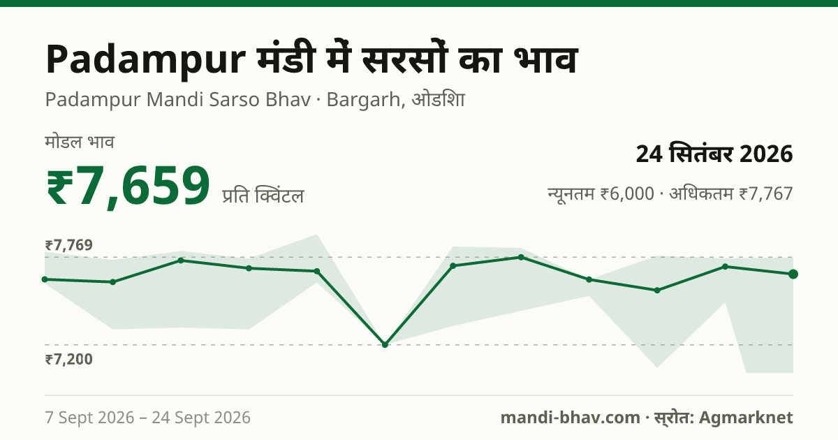 Padampur मंडी में सरसों का भाव 24 सितंबर 2026: मोडल ₹7,659 प्रति क्विंटल, भाव के रुझान का चार्ट