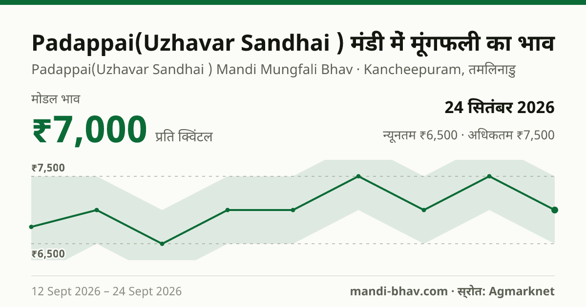 Padappai(Uzhavar Sandhai ) मंडी में मूंगफली का भाव 24 सितंबर 2026: मोडल ₹7,000 प्रति क्विंटल, भाव के रुझान का चार्ट