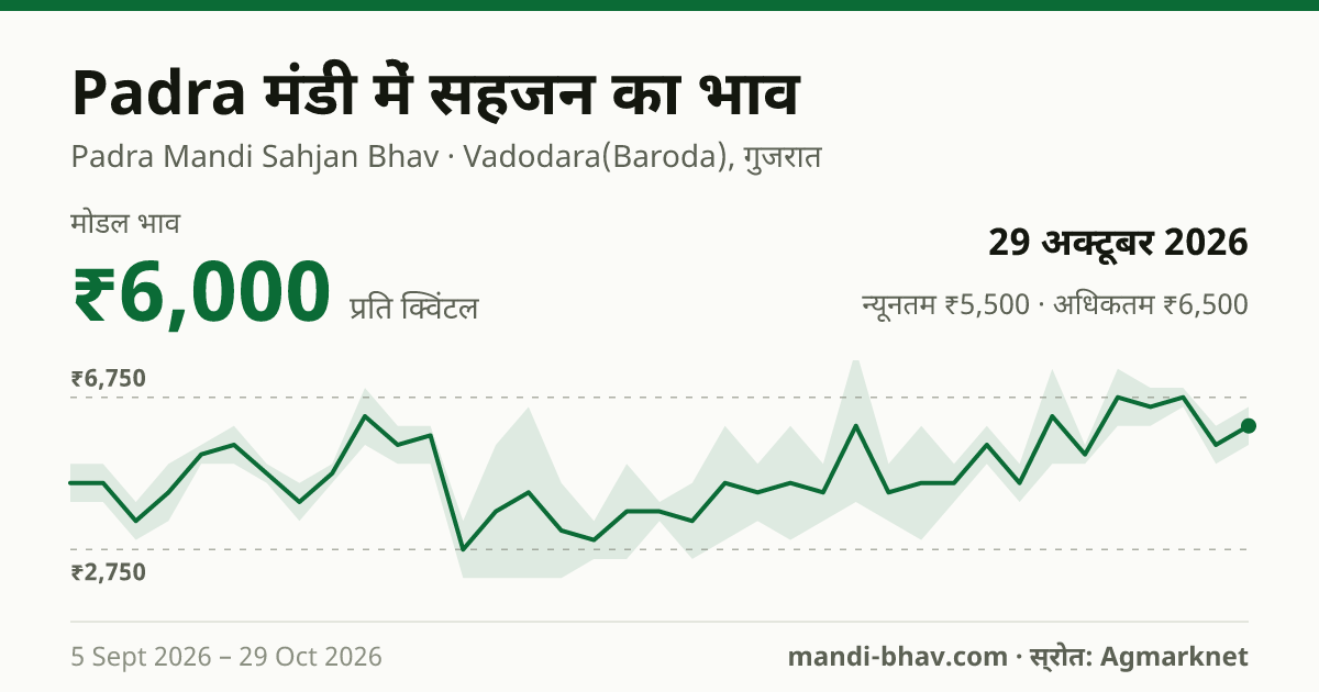 Padra मंडी में सहजन का भाव 29 अक्टूबर 2026: मोडल ₹6,000 प्रति क्विंटल, भाव के रुझान का चार्ट
